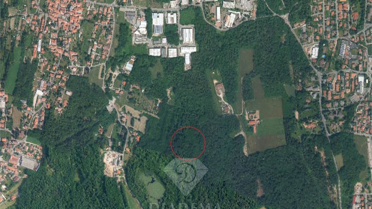 Foto satellitare bosco